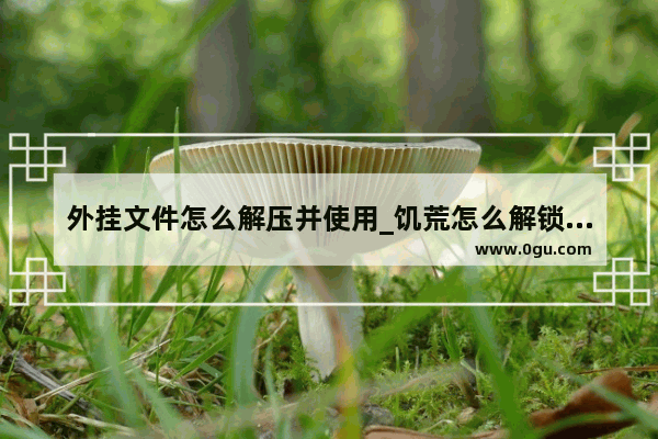 外挂文件怎么解压并使用_饥荒怎么解锁封禁