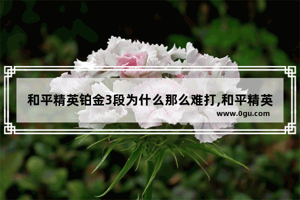 和平精英铂金3段为什么那么难打,和平精英为什么越打越难