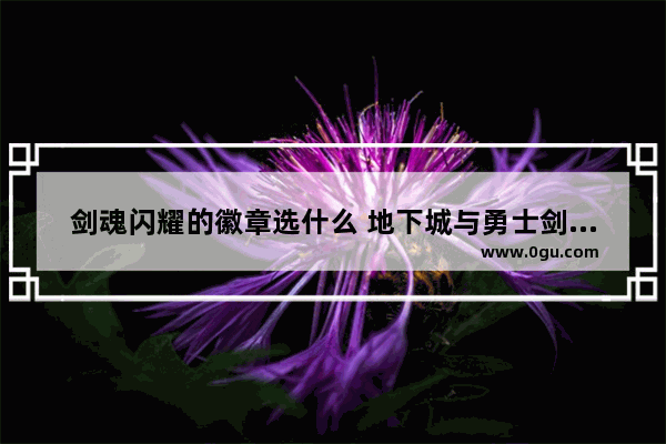 剑魂闪耀的徽章选什么 地下城与勇士剑魂完美徽章