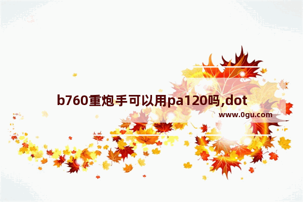 b760重炮手可以用pa120吗,dota2 pa 大炮