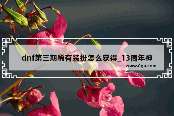 dnf第三期稀有装扮怎么获得_13周年神圣稀有克隆装扮礼盒是什么