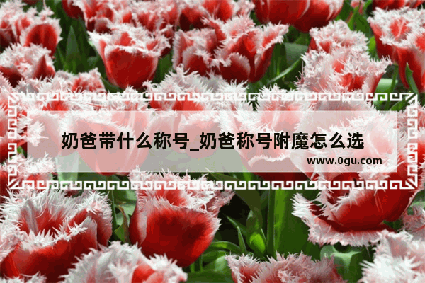 奶爸带什么称号_奶爸称号附魔怎么选