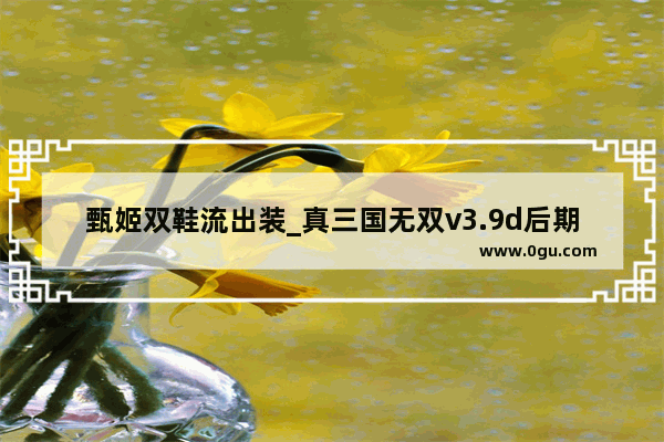 甄姬双鞋流出装_真三国无双v3.9d后期神装 典和云哪个厉害