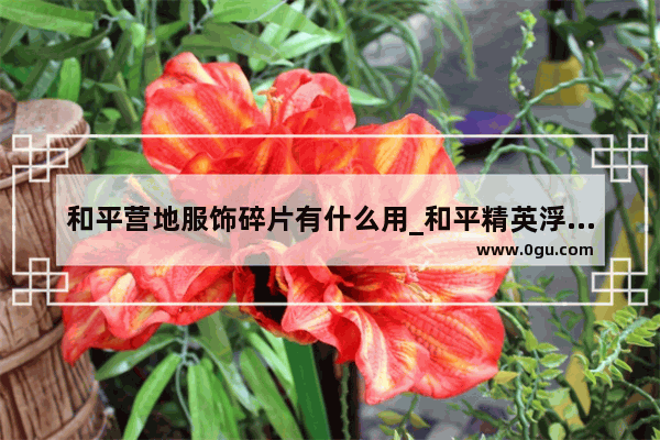 和平营地服饰碎片有什么用_和平精英浮筒币有什么用