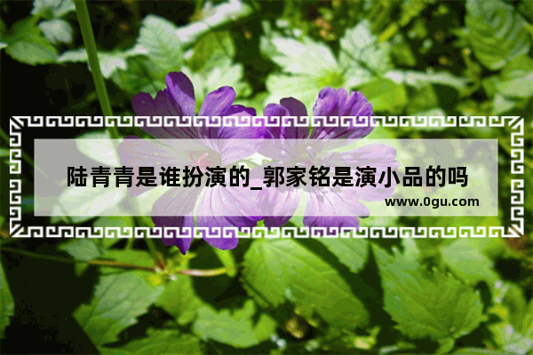陆青青是谁扮演的_郭家铭是演小品的吗