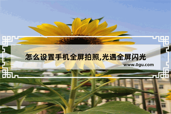 怎么设置手机全屏拍照,光遇全屏闪光