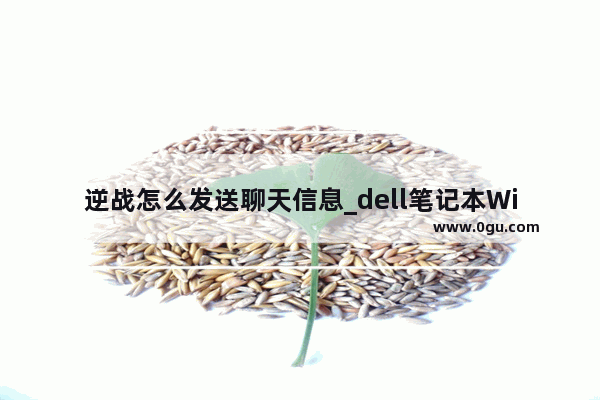 逆战怎么发送聊天信息_dell笔记本Windows7旗舰版能玩逆战吗