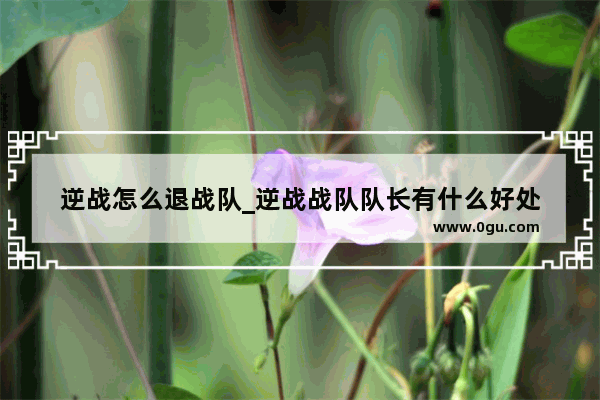逆战怎么退战队_逆战战队队长有什么好处