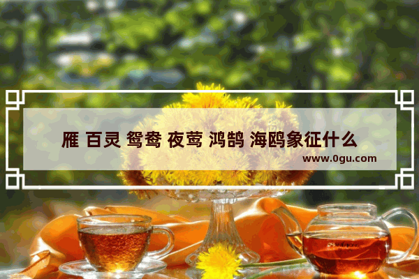 雁 百灵 鸳鸯 夜莺 鸿鹄 海鸥象征什么意义_光遇象征什么
