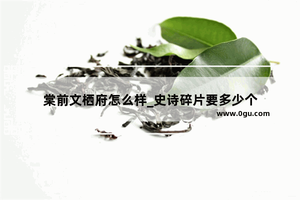 棠前文栖府怎么样_史诗碎片要多少个