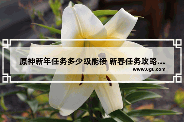 原神新年任务多少级能接 新春任务攻略原神