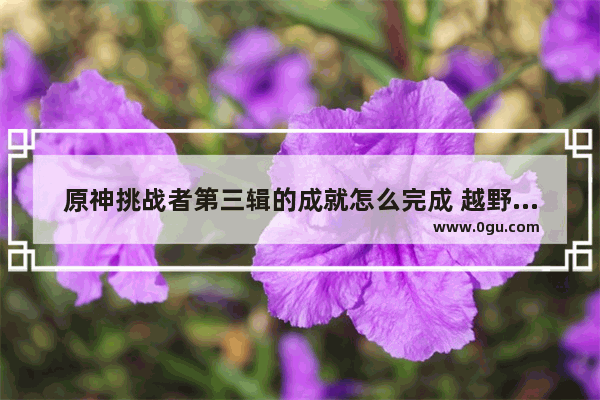 原神挑战者第三辑的成就怎么完成 越野挑战原神攻略