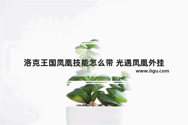 洛克王国凤凰技能怎么带 光遇凤凰外挂