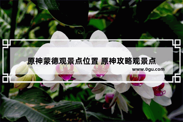 原神蒙德观景点位置 原神攻略观景点