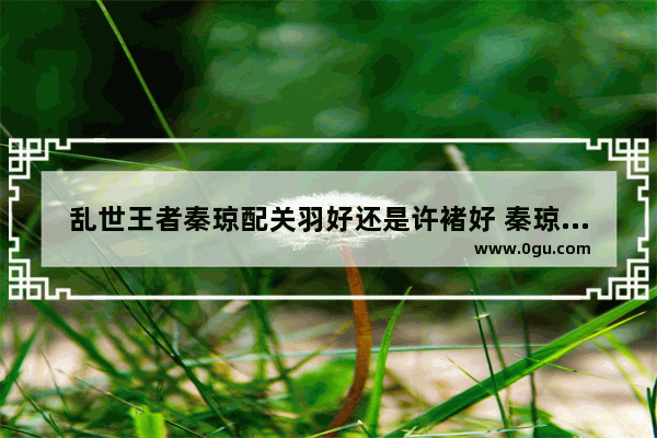 乱世王者秦琼配关羽好还是许褚好 秦琼王者荣耀