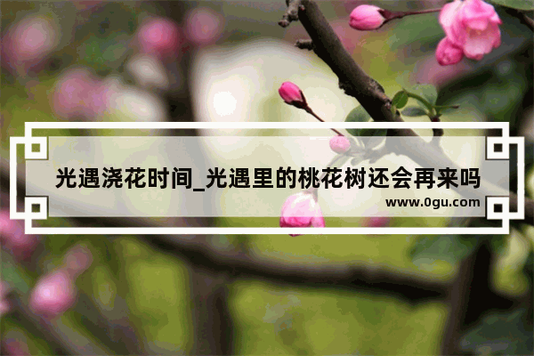 光遇浇花时间_光遇里的桃花树还会再来吗