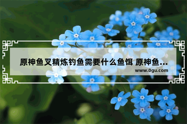 原神鱼叉精炼钓鱼需要什么鱼饵 原神鱼叉精炼攻略