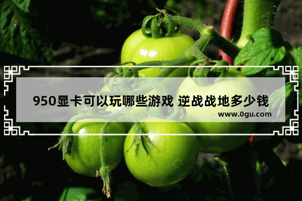 950显卡可以玩哪些游戏 逆战战地多少钱