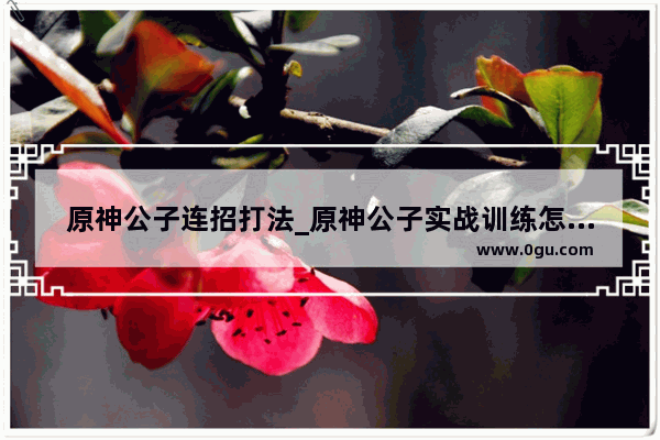 原神公子连招打法_原神公子实战训练怎么过