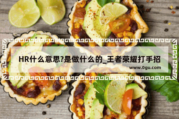 HR什么意思?是做什么的_王者荣耀打手招聘
