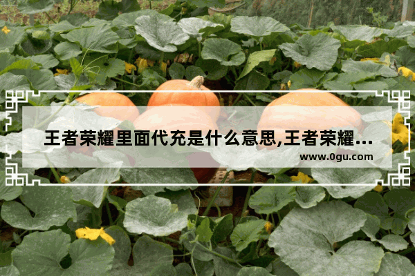 王者荣耀里面代充是什么意思,王者荣耀代冲