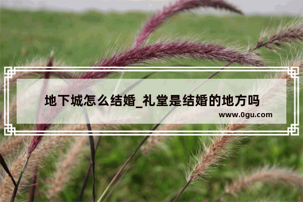 地下城怎么结婚_礼堂是结婚的地方吗