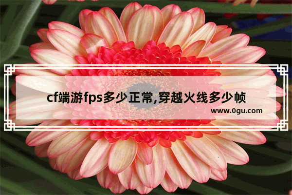 cf端游fps多少正常,穿越火线多少帧