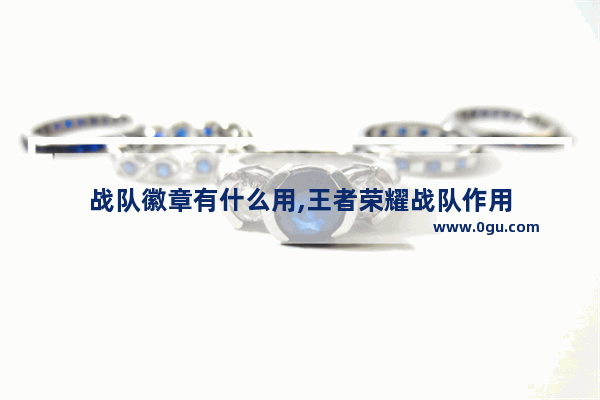 战队徽章有什么用,王者荣耀战队作用