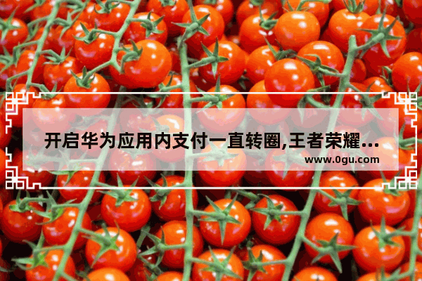开启华为应用内支付一直转圈,王者荣耀充值转圈
