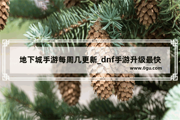 地下城手游每周几更新_dnf手游升级最快的方法2022