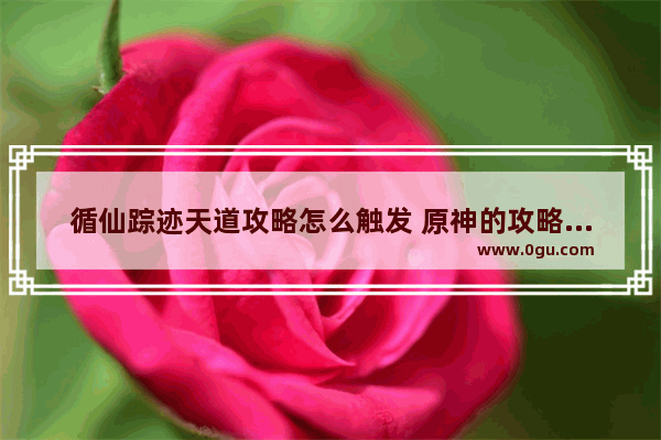 循仙踪迹天道攻略怎么触发 原神的攻略在哪