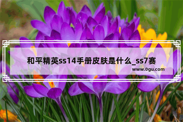和平精英ss14手册皮肤是什么_ss7赛季什么时候开始的