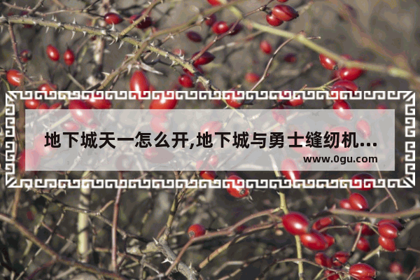 地下城天一怎么开,地下城与勇士缝纫机搭配