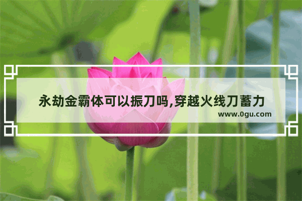 永劫金霸体可以振刀吗,穿越火线刀蓄力