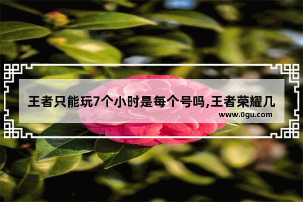 王者只能玩7个小时是每个号吗,王者荣耀几迟