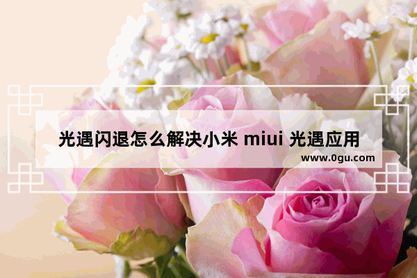 光遇闪退怎么解决小米 miui 光遇应用