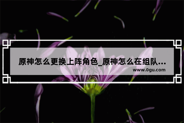 原神怎么更换上阵角色_原神怎么在组队状态下换人