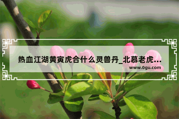 热血江湖黄寅虎合什么灵兽丹_北慕老虎铭文
