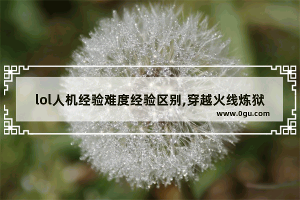 lol人机经验难度经验区别,穿越火线炼狱人机