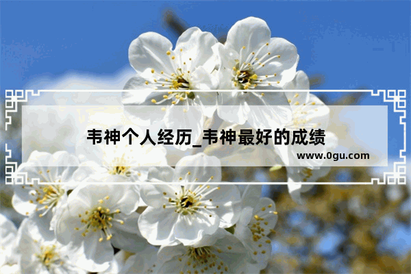 韦神个人经历_韦神最好的成绩