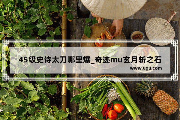 45级史诗太刀哪里爆_奇迹mu玄月斩之石哪里爆