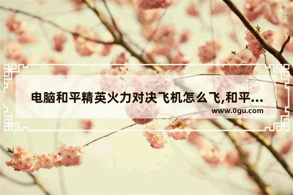 电脑和平精英火力对决飞机怎么飞,和平精英新火力对决直升机