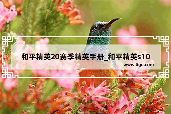 和平精英20赛季精英手册_和平精英s100赛季手册皮肤是什么