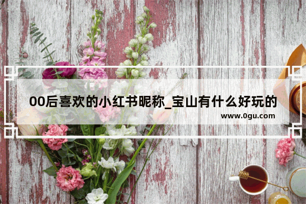 00后喜欢的小红书昵称_宝山有什么好玩的地方