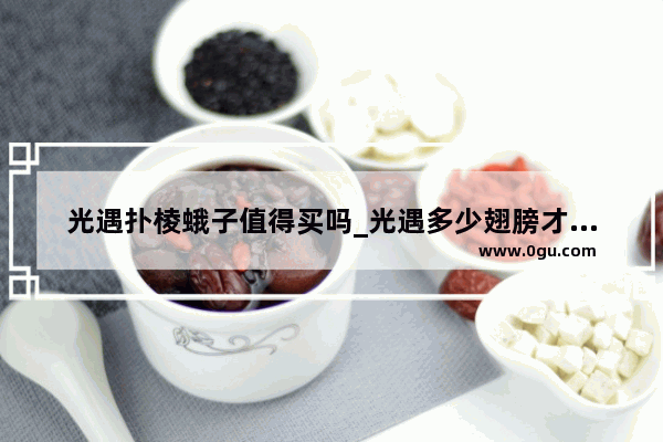 光遇扑棱蛾子值得买吗_光遇多少翅膀才入门