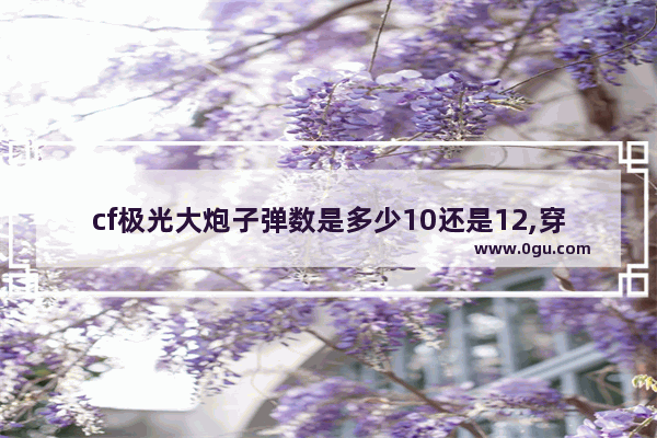 cf极光大炮子弹数是多少10还是12,穿越火线大炮属性