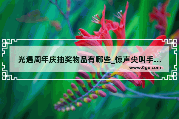 光遇周年庆抽奖物品有哪些_惊声尖叫手办在哪里买