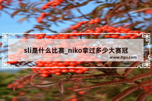 sli是什么比赛_niko拿过多少大赛冠军
