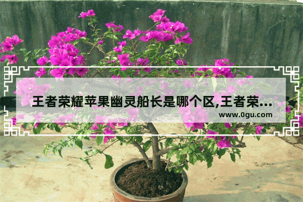 王者荣耀苹果幽灵船长是哪个区,王者荣耀船长