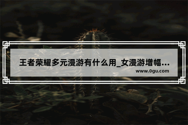 王者荣耀多元漫游有什么用_女漫游增幅异次元属性选什么